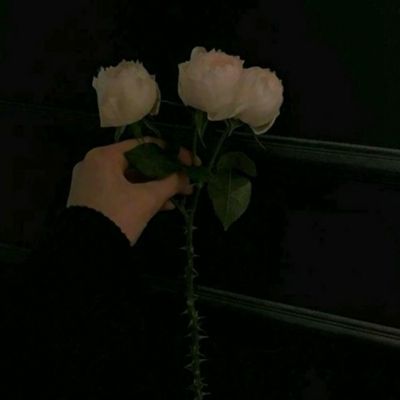 剑域奇缘手游九游版下载